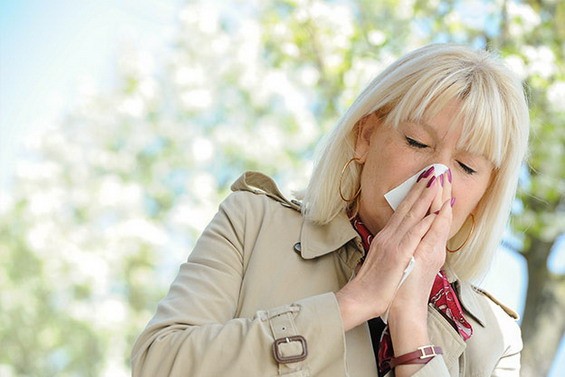 Аллергия на пыльцу