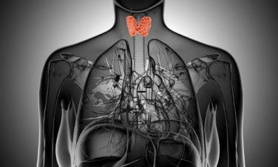 Гипотиреоз – снижение функции щитовидной железы