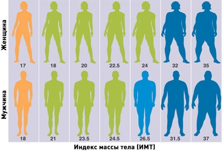 Индекс массы тела ИМТ Онлайн калькулятор