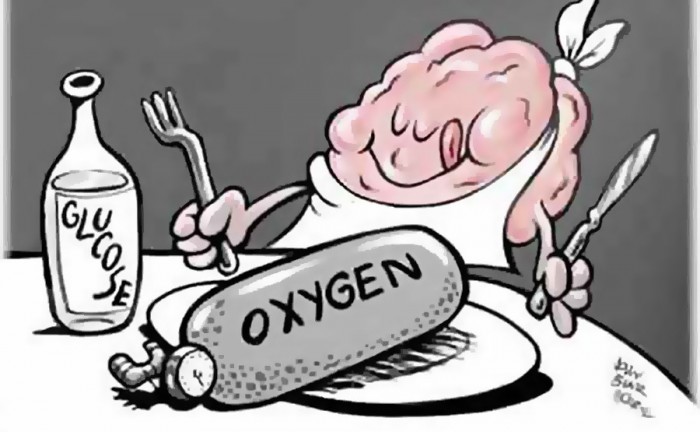 Кислородное голодание мозга