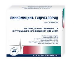 Линкомицина гидрохлорид 300мг/мл раствор для инъекций 1мл №10 ампулы