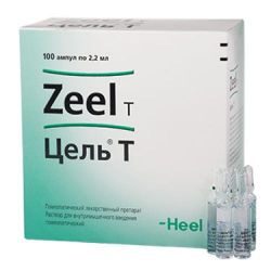 Цель Т раствор для инъекций 2