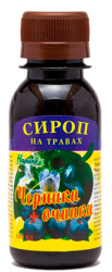 Радуга горного Алтая Черника + очанка сироп 100мл