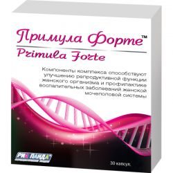 Примула форте 0