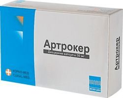 Артрокер 50мг №100 капсулы