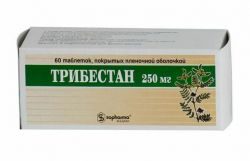Трибестан 250мг №60 таблетки