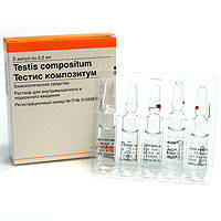 Тестис композитум 2