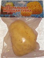 Губка натуральная морская детская (4