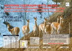 Леонарда наколенник компрессионный с шерстью альпака размер 5