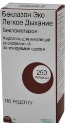 Беклазон Эко Легкое Дыхание аэрозоль 250мкг 200доз №1 баллончик