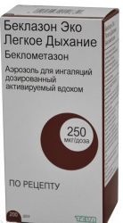 Беклазон Эко Легкое Дыхание аэрозоль 250мкг 200доз №1 баллончик