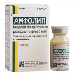 Амфолип 5мг/мл 10мл №1 флакон