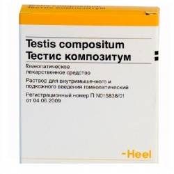 Тестис композитум 2