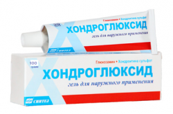 Хондроглюксид гель для наружного применения 100г