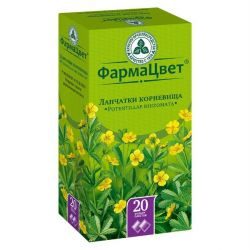 Лапчатки корневища 2
