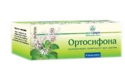 Ортосифона тычиночного (почечный чай) листья 1