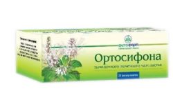 Ортосифона тычиночного (почечный чай) листья 1