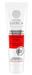 Натура Сиберика паста зубная Морозные ягоды 100г