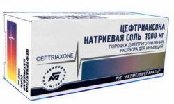 Цефтриаксон порошок для раствора в/в и в/м 1г №20