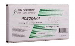 Новокаин 2% раствор для инъекций 2мл №10 ампулы