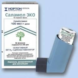 Саламол Эко аэрозоль 100мкг 200доз №1 баллончик