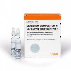 Церебрум композитум Н 2