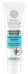 Натура Сиберика паста зубная Жемчужина Сибири 100г