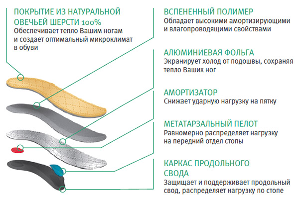 ortmann viva winter-2