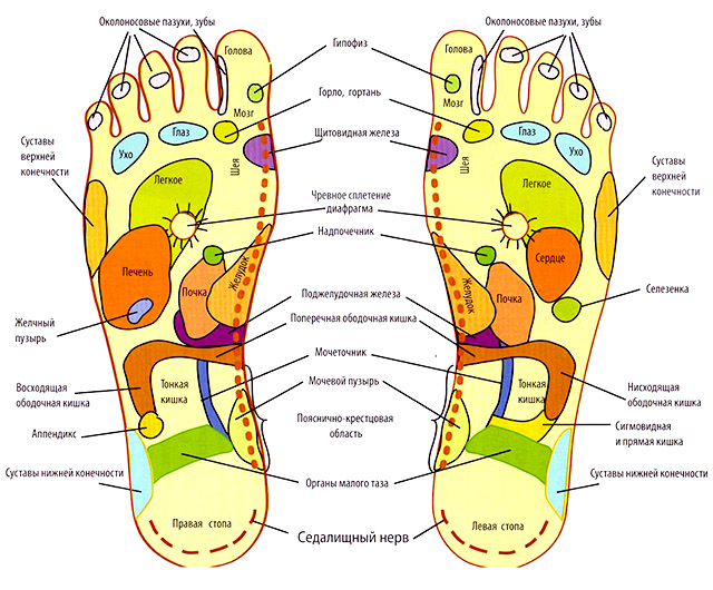 Акупунктурные точки
