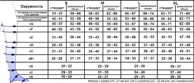 Размеры трикотажа BAUERFEIND