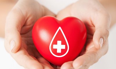 Сдача крови