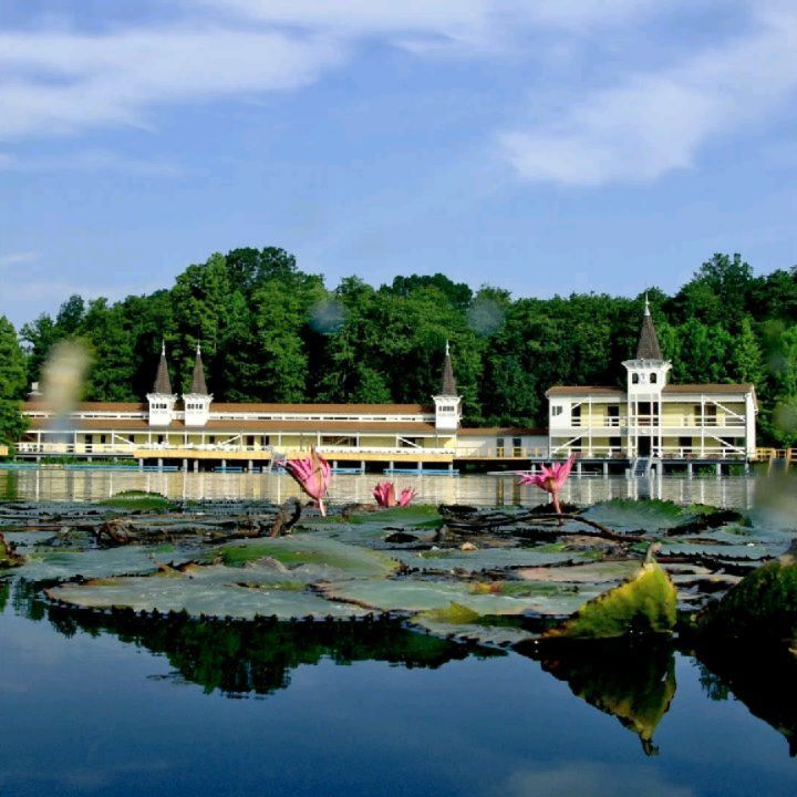 Хевиз лечебные процедуры