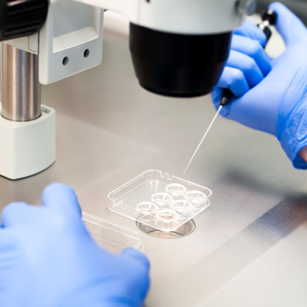 Дети in vitro