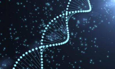 Ориентация на одну генетическую мутацию помогла ученым разработать инновационное лечение психоза