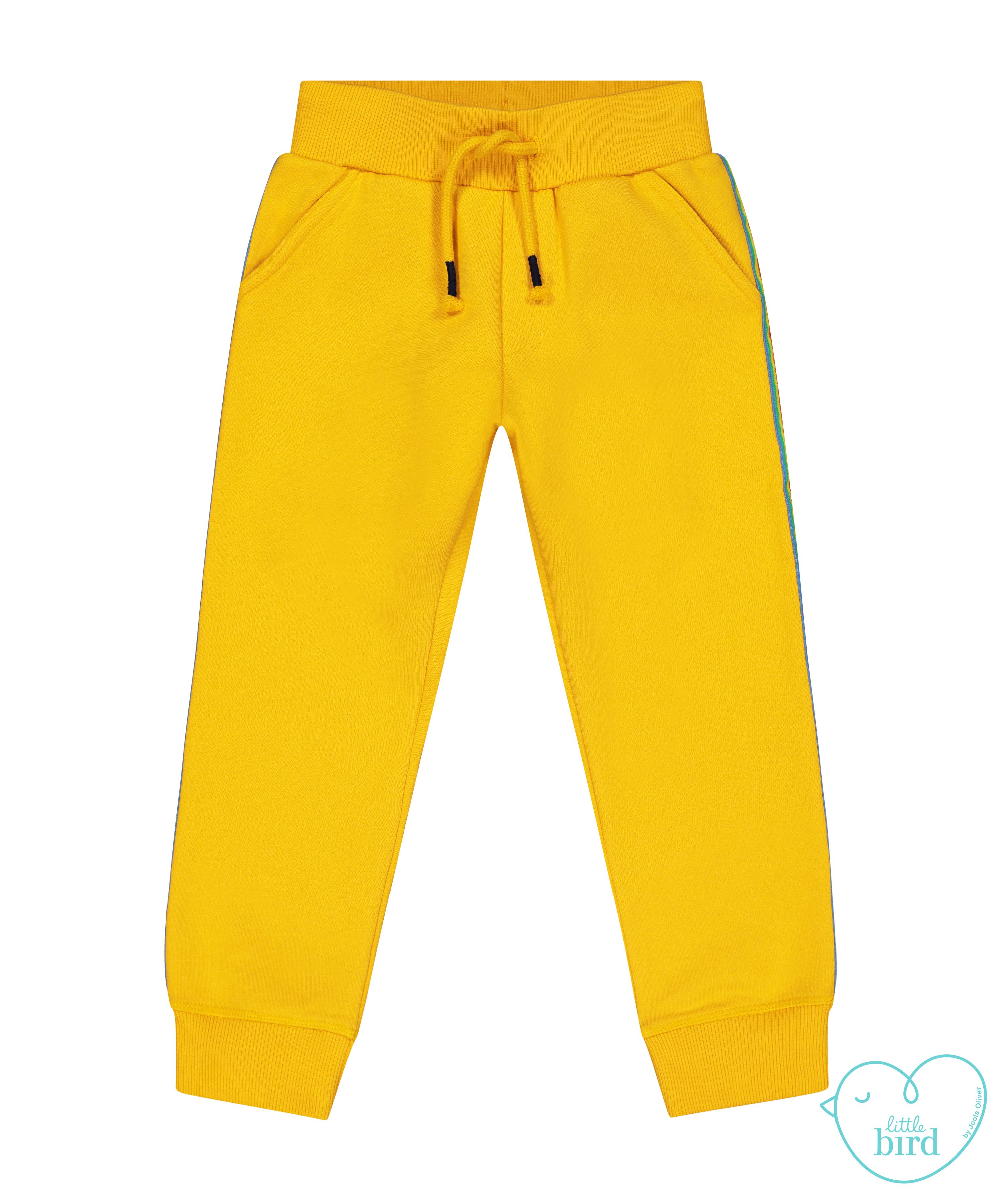Фото товара Брюки спортивные Little Bird с начесом