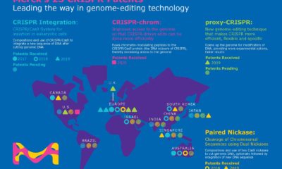 CRISPR-patents-overview-infographic-EN