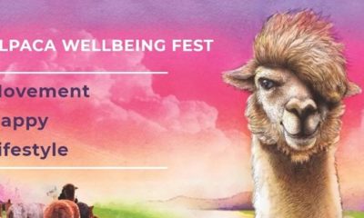 Alpaca Wellbeing Fest