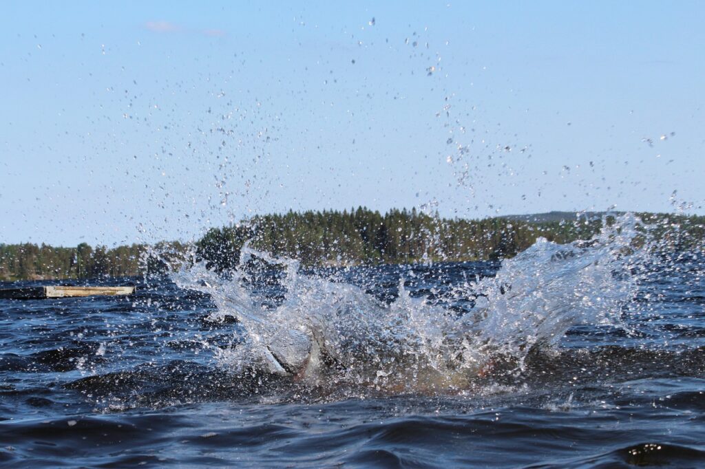 Вода Лето Озеро Купание