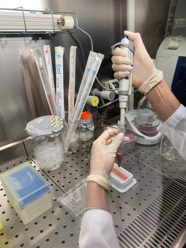 НИТУ МИСИС наночастицы для томографии