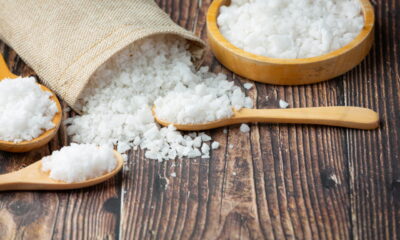 Каменная соль в питании