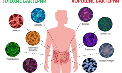 Микробиом Хорошие и Плохие бактерии