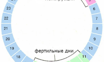 Калькулятор фертильности