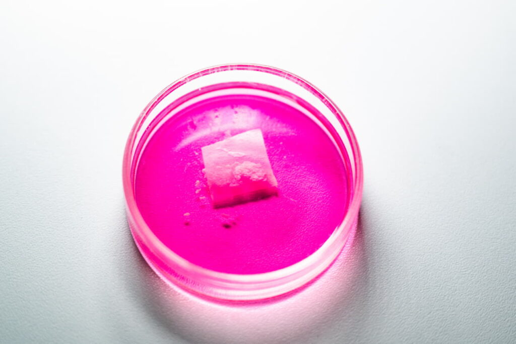 Мышечная ткань