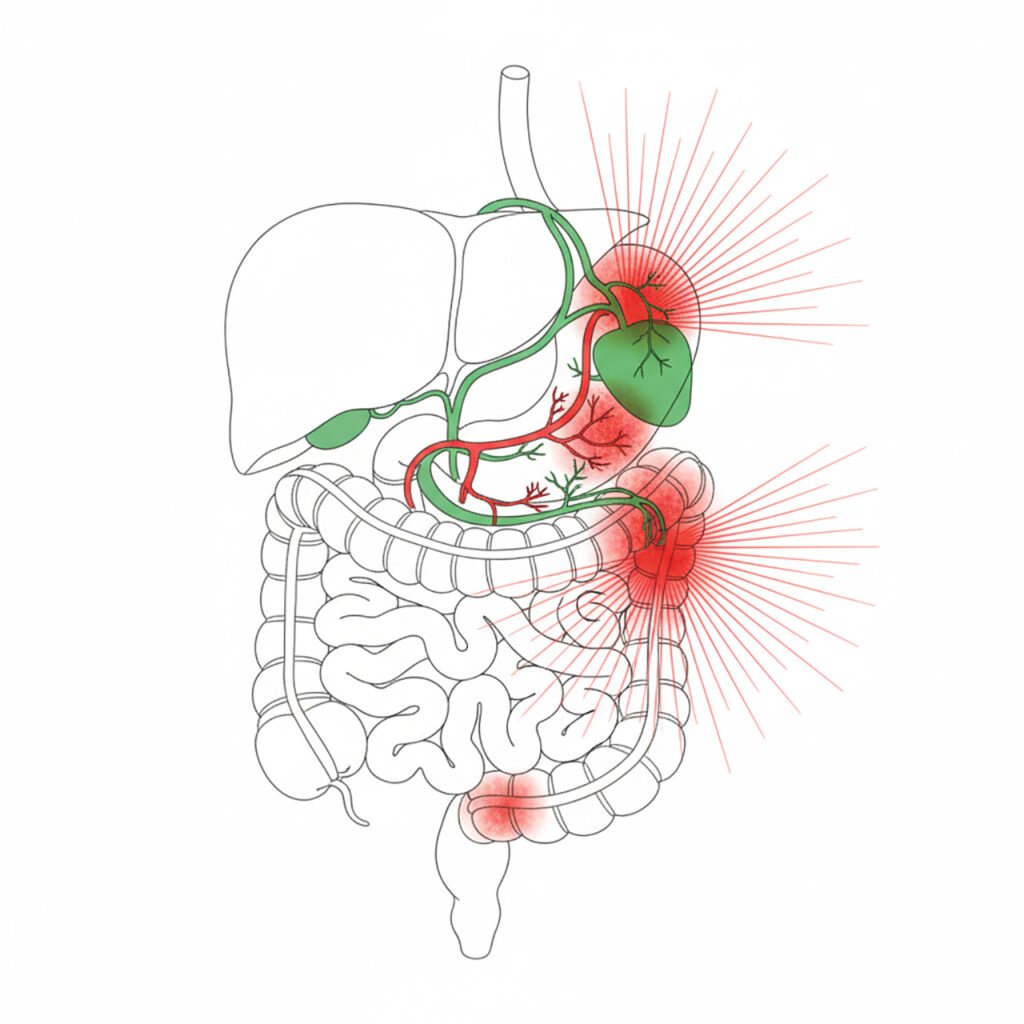 Причины и симптомы нарушений моторики желчевыводящих путей