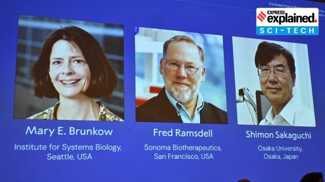 Нобелевская премия по медицине—2025