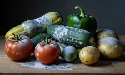 Плесень на продуктах