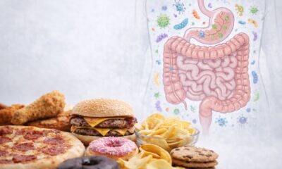 Ультрапереработанные продукты