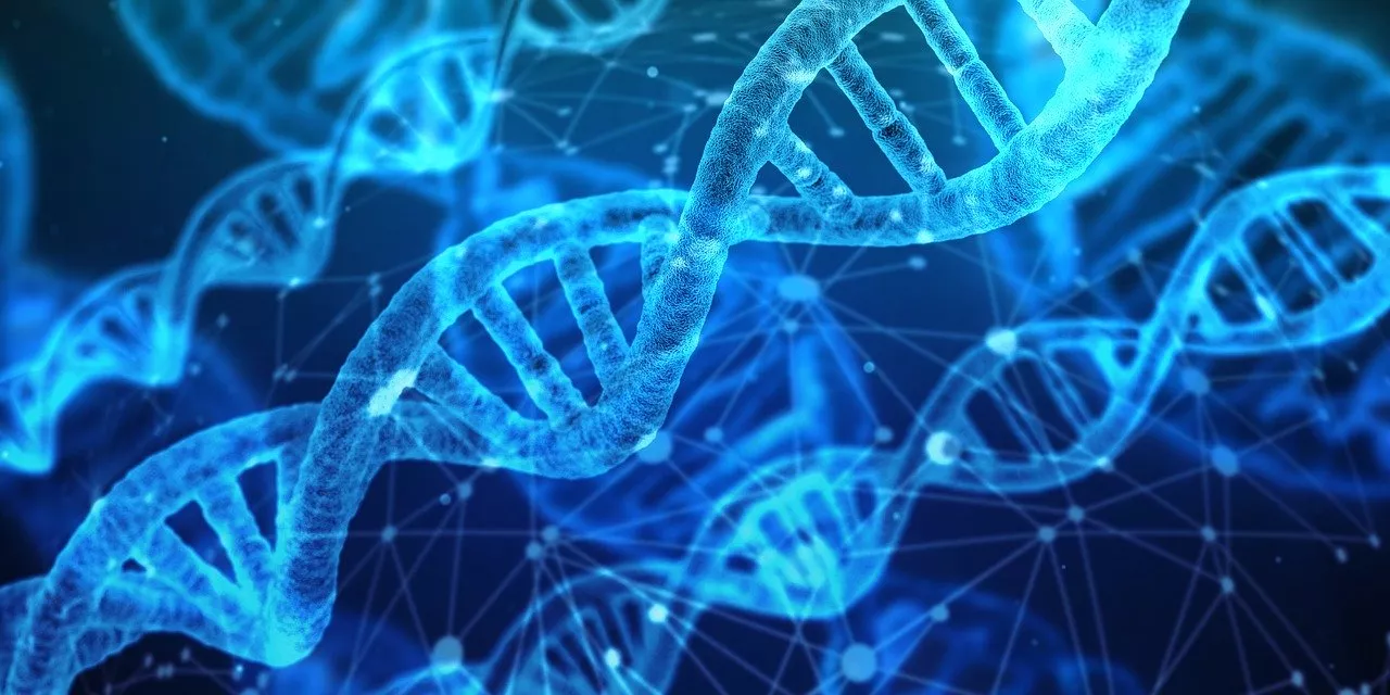 Basis Genomic Group представляет генетический тест, способный предсказать течение респираторного и вирусного заболевания