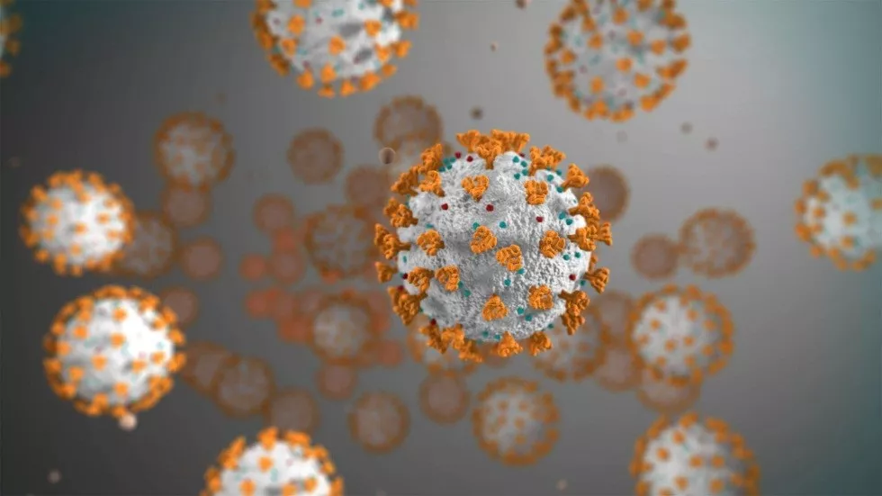 Тест для определения антител класса IgM и IgG в крови к вирусу SARS-CoV-2