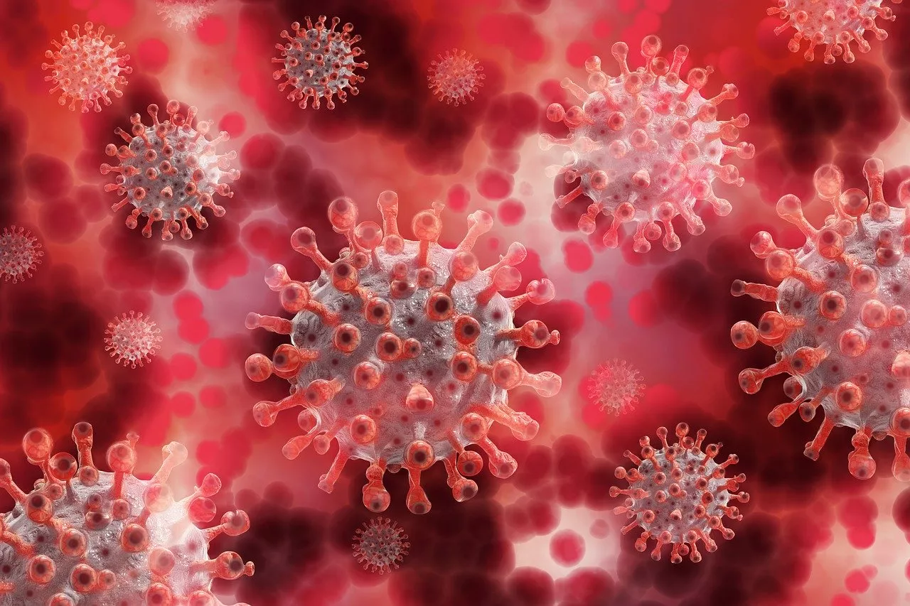 Ученые используют лошадей для производства антител к коронавирусу 😷